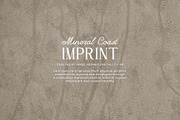 Mineral Coast Imprint backgrounds, a Texture Graphic by DigARTbyHavroshka (Thumbnail 4 of 15)