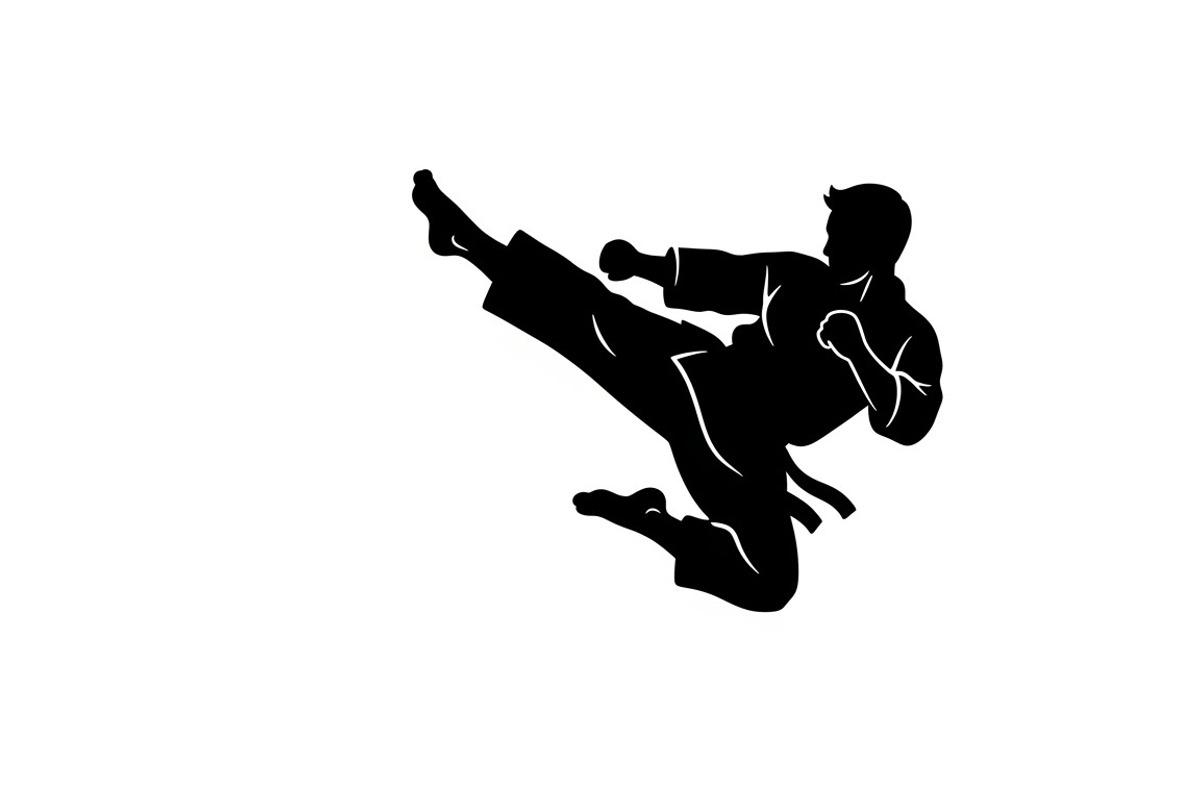 Dynamic martial arts kick silhouette, an Illustration by Amazin_art (Photo 20 of 36)
