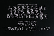 Beautiful Wedding, a Handwritten Font by FreshTypeINK (Thumbnail 5 of 6)