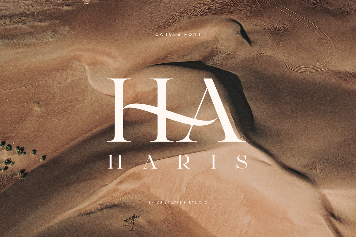 CARVES - Modern Display Font, a Sans Serif Font by Sensatype (Photo 10 of 20)