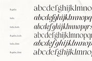 The Esteh Serif, a Serif Font by AnayaStudio (Thumbnail 9 of 10)