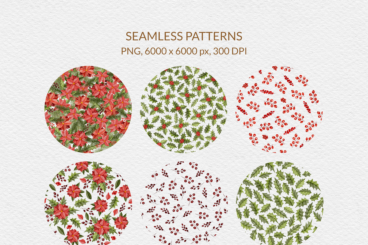 Christmas Florals, Poinsettia, an Object Graphic by ilonitta (Photo 17 of 18)