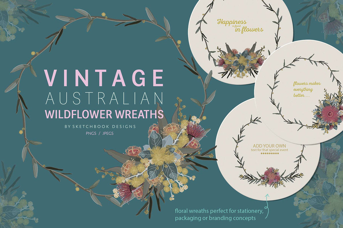 VINTAGE AUSTRALIAN WILDFLOWER SET, an Illustration by Sketchbook Designs (Photo 4 of 12)