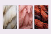 BACKGROUND BIRD VARIOUS FEATHERS, a Background Graphic by Sophico (Thumbnail 4 of 5)