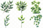 Watercolor Greenery Foliage Clipart, an Illustration by Black Bird Studio (Thumbnail 5 of 5)