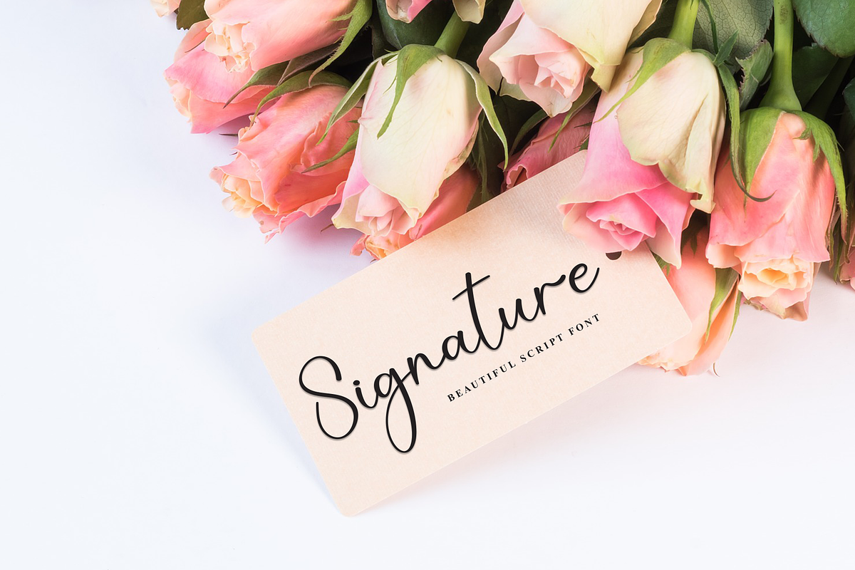 Jasmine | Script Font, a Handwritten Font by Scratchones (Photo 5 of 9)