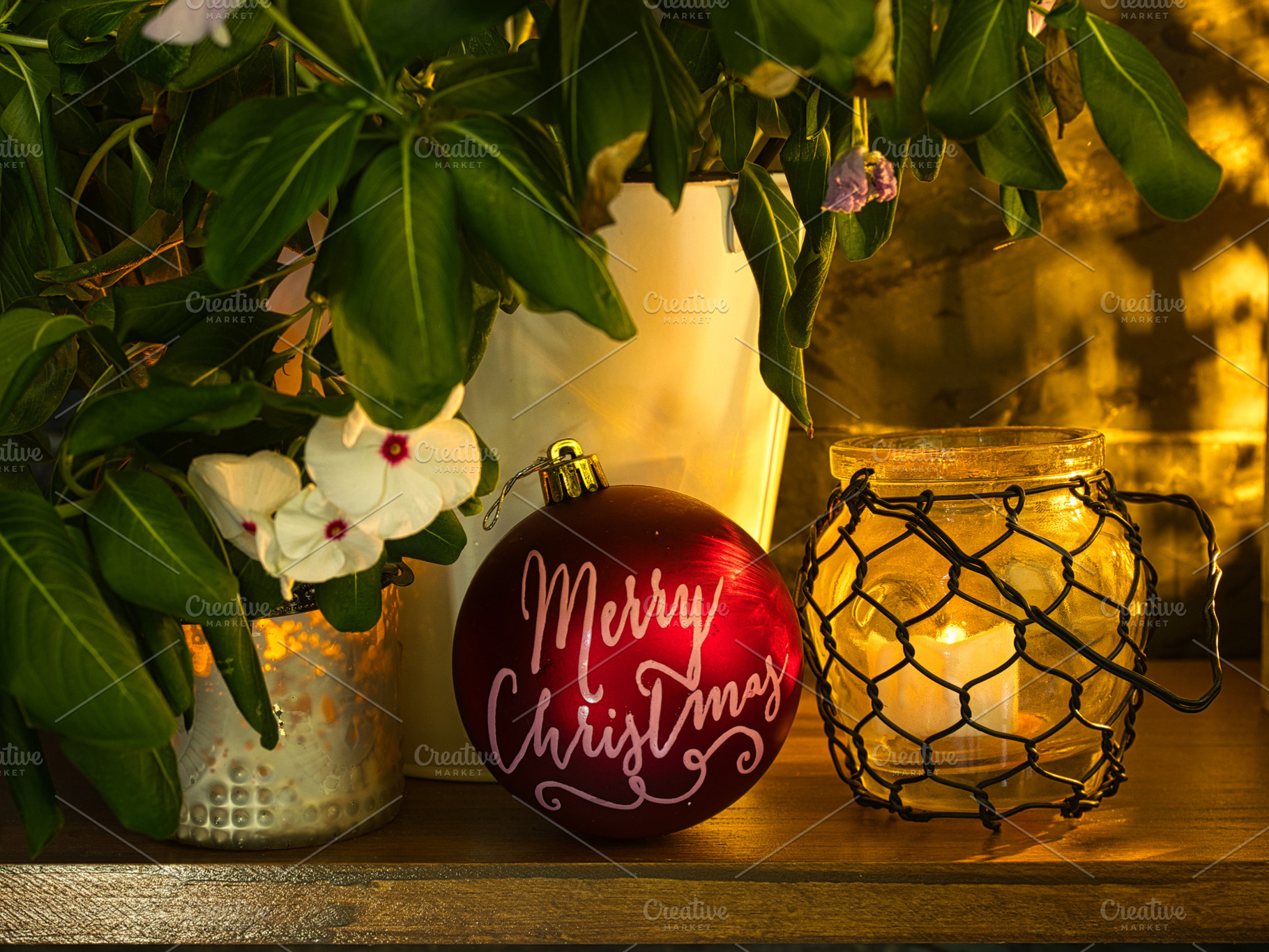 Plant and simple decoration illumina, a Holiday Photo by jcmarcos