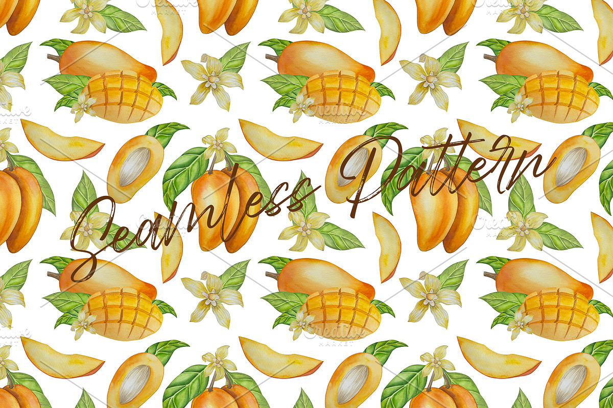 Botanical Style Mango Illustration, a Food Illustration by Milla_Zelenyuk_art (Photo 5 of 5)