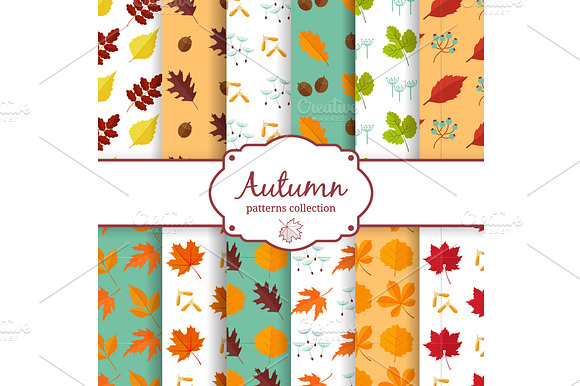 Autumn Patterns Collection