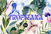 BUNDLE Vol.3 - 5000 graphics 27 in 1, a Decorative Illustration by Lana Elanor (Thumbnail 30 of 30)
