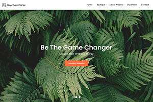 Meet MetaSlider WordPress Theme