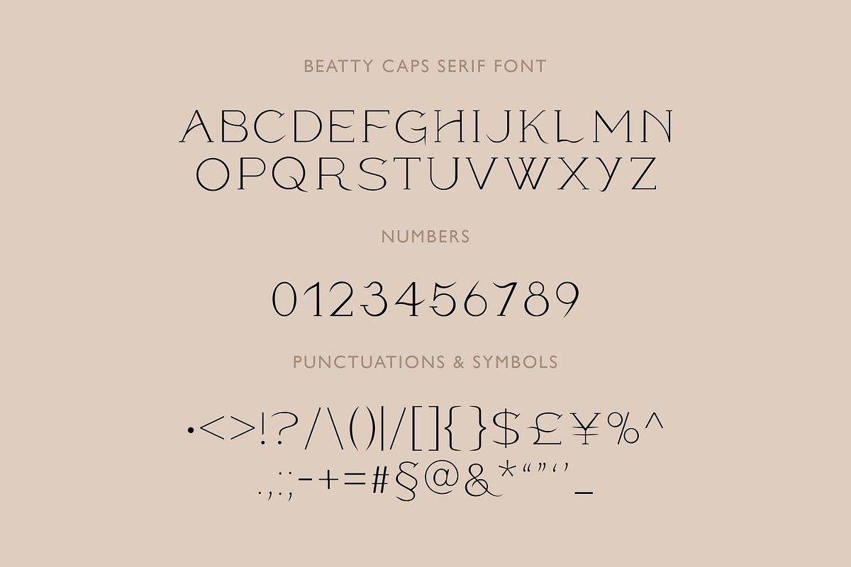 Modern ligature-rich font, a Serif Font by elvinova (Photo 15 of 18)