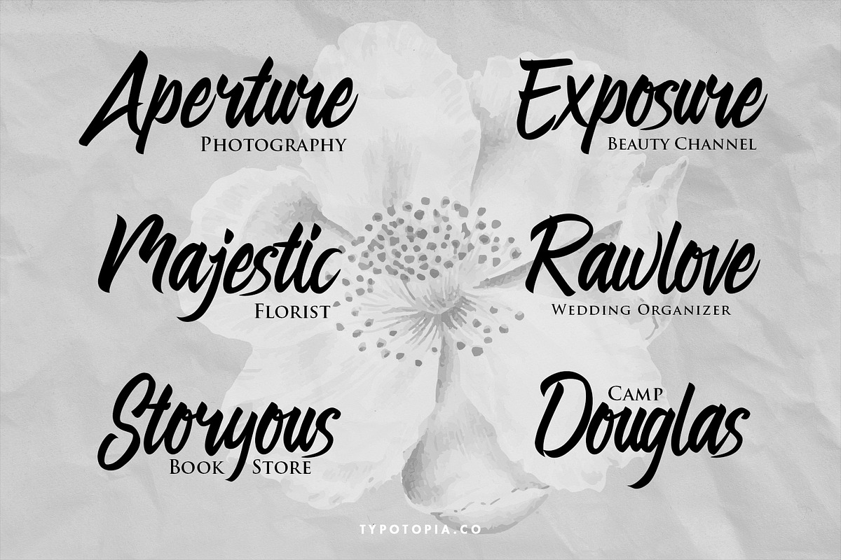 Preteoria Script, a Script Font by edukka (Photo 8 of 10)