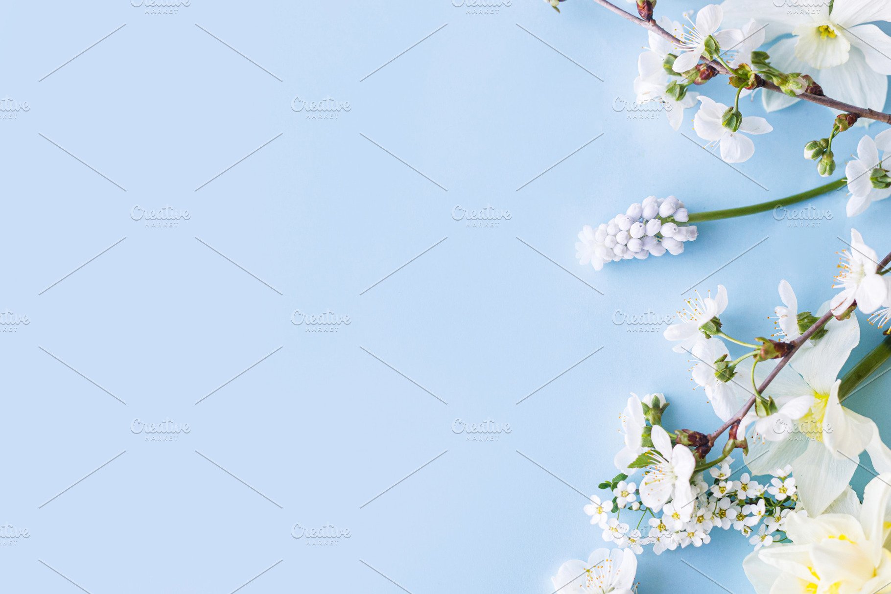 Happy Easter! Daffodils and cherry blossom flat lay on blue back, a Holiday Photo by Sonjachni