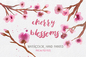 Cherry Blossoms- Watercolor Clipart