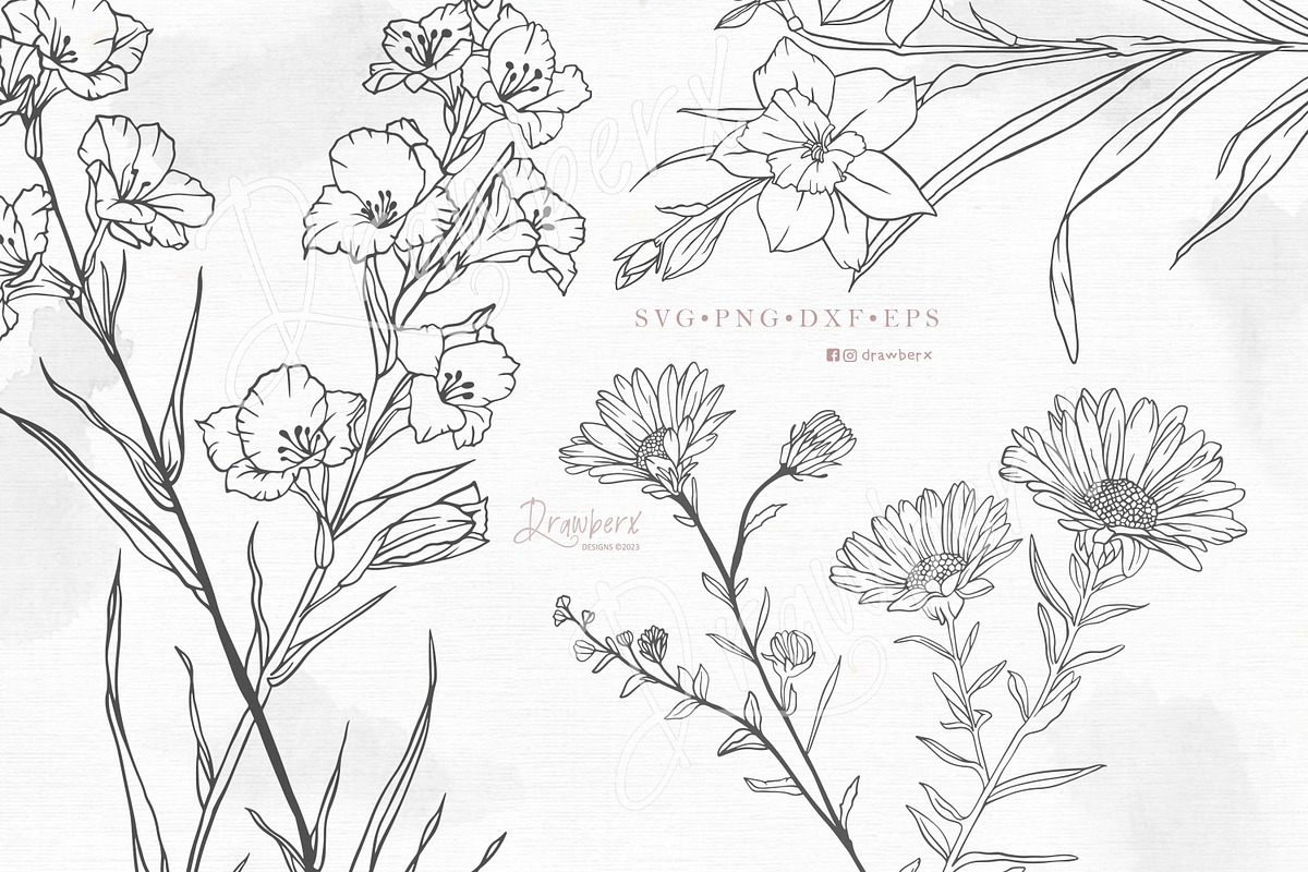 Birth Month flowers Svg, bundle 125, a Graphic by Drawberx (Photo 9 of 10)