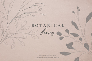 Botanical Leaves - Sketched Florals