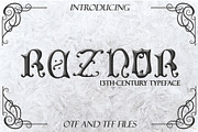 Font Bundle: 80+ professional fonts, a Font by Dene Studios (Thumbnail 23 of 31)