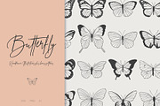 Butterfly | Vector illustrations, an Object Illustration by Wander Designs (Thumbnail 1 of 7)
