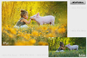 Flowers and Grass Overlays, an Object Graphic by MixPixBox (Thumbnail 2 of 6)