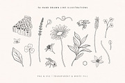 Wild Honey Vector Illustrations, a Decorative Illustration by rouxsupplyco (Thumbnail 2 of 14)