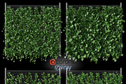 Hop leaves on the fence 3d model, an Architecture 3D Model by rnax (Thumbnail 1 of 4)