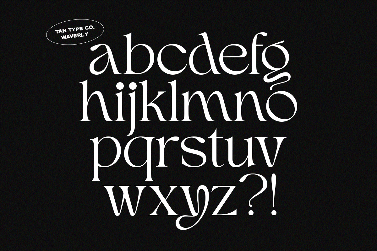 TAN - WAVERLY, a Serif Font by TanType (Photo 11 of 22)