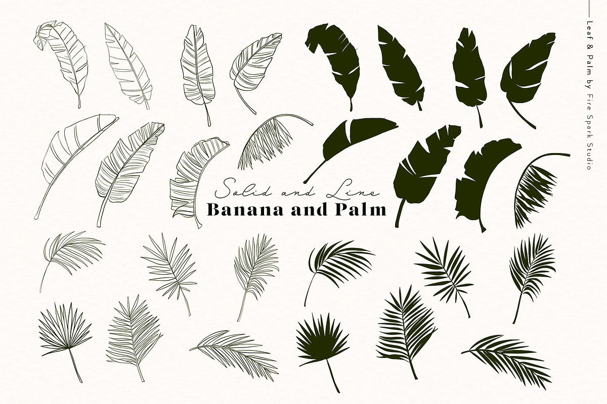 Palm Leaf Vectors and Textures, a Texture Illustration by Fire Spark Studio (Photo 3 of 7)