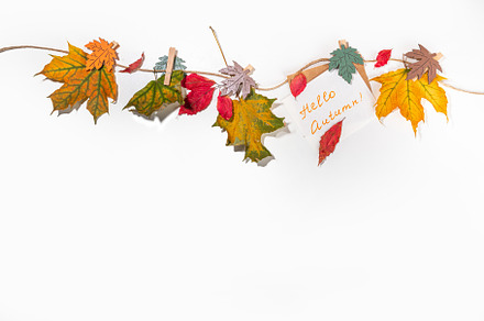 Creative autumn border with fall leaves, a Holiday Photo by Rimma
