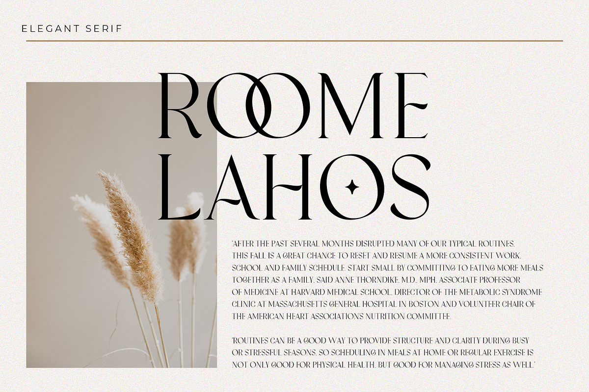 Kouva Glorin - Modern Serif, a Serif Font by MJB Letters (Photo 2 of 11)