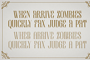 Blossom - Modern Serif Font, a Serif Font by Luna Shop (Thumbnail 6 of 8)