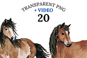 20 Horse Clipart, an Animal Illustration by Pati Charm Studio (Thumbnail 1 of 8)