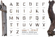 Wild Forest - 3D Lettering, an Object Graphic by MIIM (Thumbnail 6 of 7)