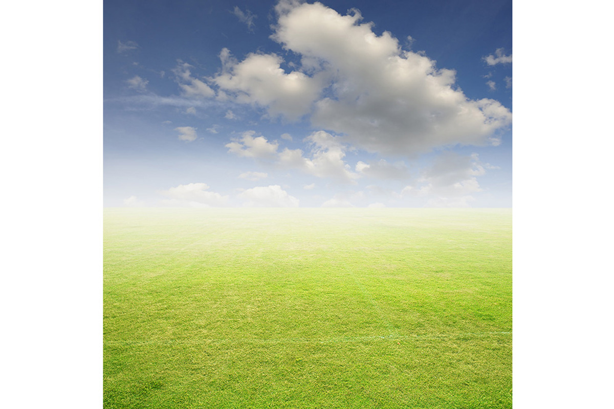 50 Fields background Set 01, a Texture Graphic by FWStudio (Photo 8 of 13)