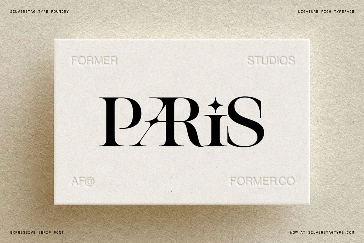 Spanish Archer - Ligature-Rich Font, a Serif Font by SilverStag Type Foundry (Photo 13 of 19)