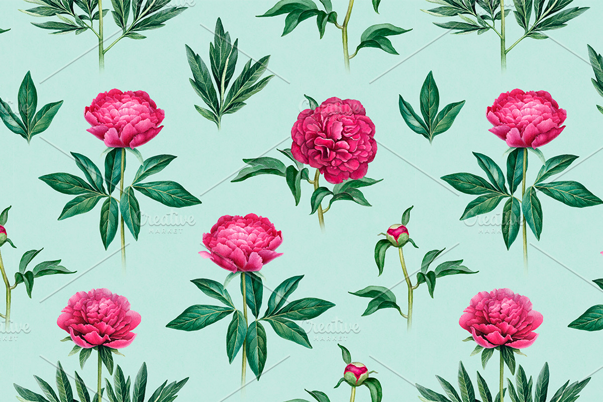 Watercolour illustrations of peonies, a Pattern Graphic by Sundra (Photo 2 of 9)