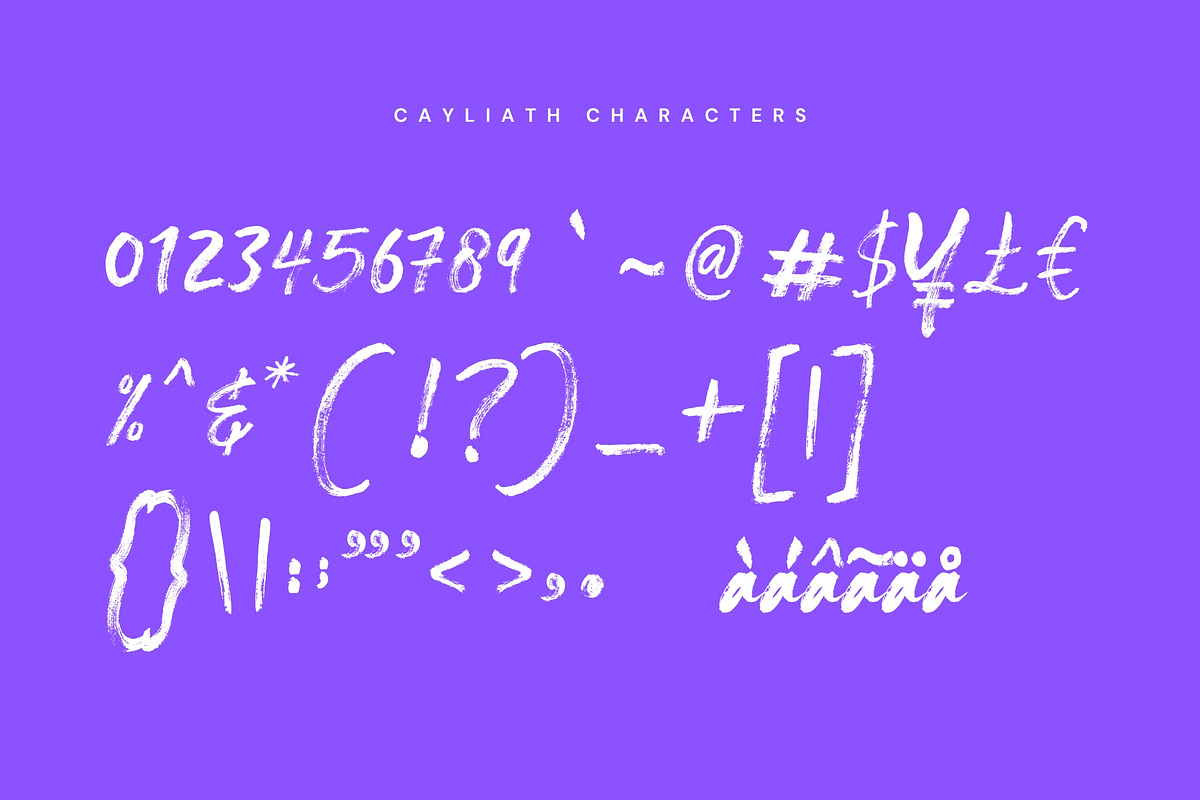 Cayliath Brush Script, a Handwritten Font by Get Studio (Photo 7 of 7)