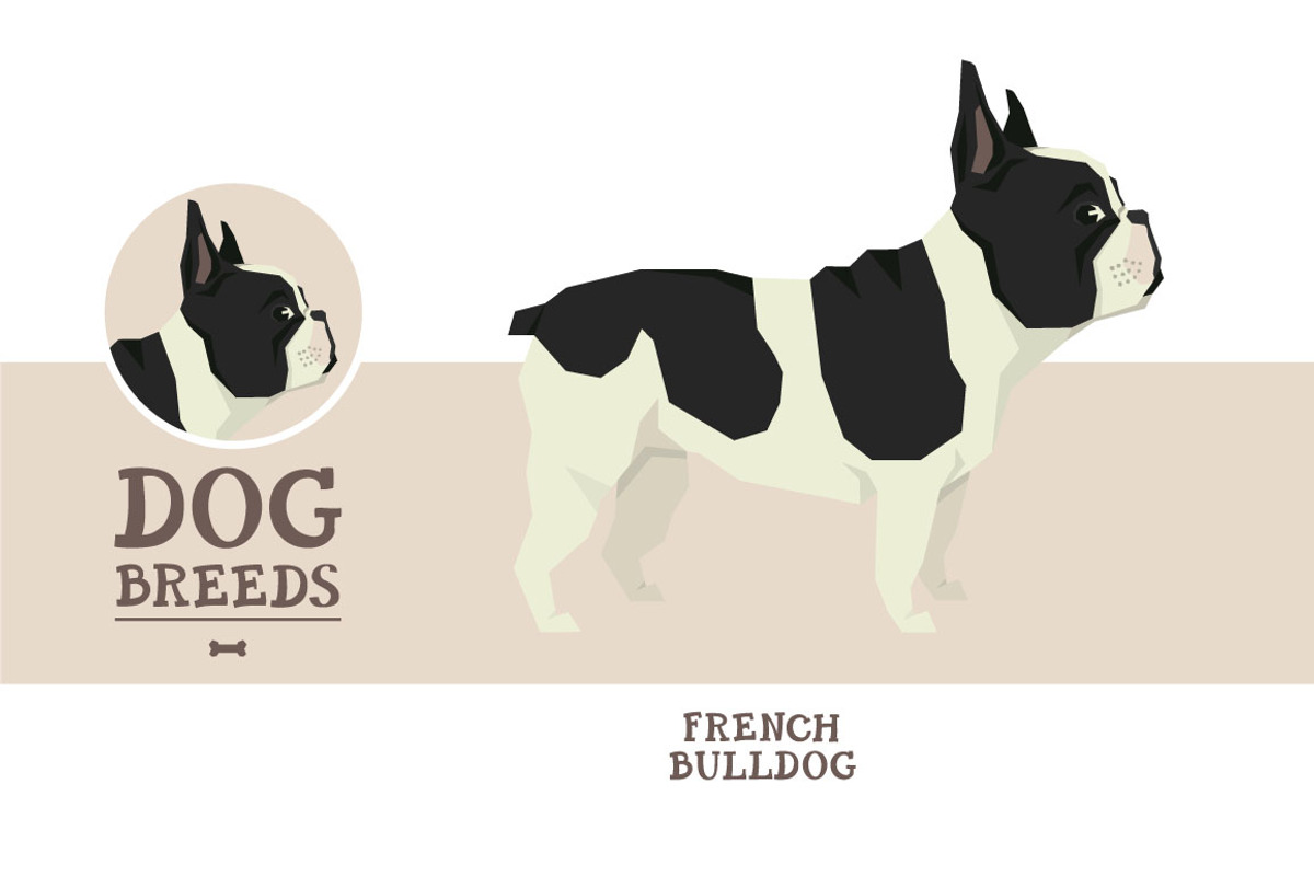 Dog breeds French Bulldog, an Object Graphic by Nenilkime (Photo 1 of 3)