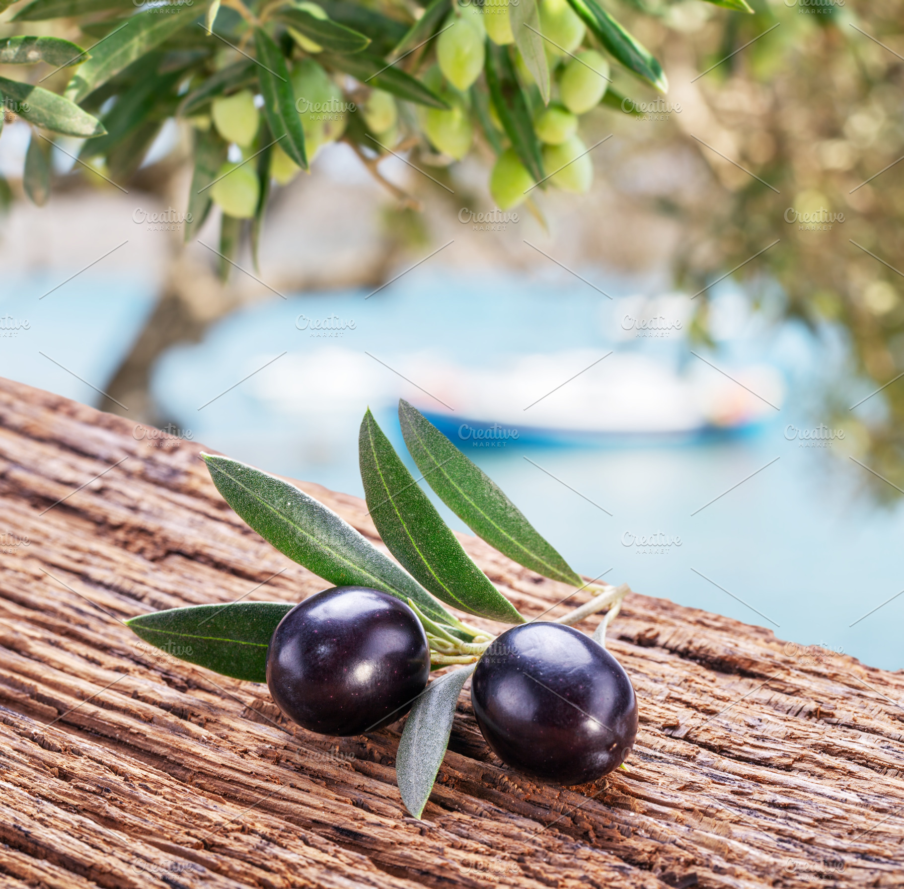 Two fresh olives on twig over wooden table. Olive tree and blue, a Food & Drink Photo by Volff
