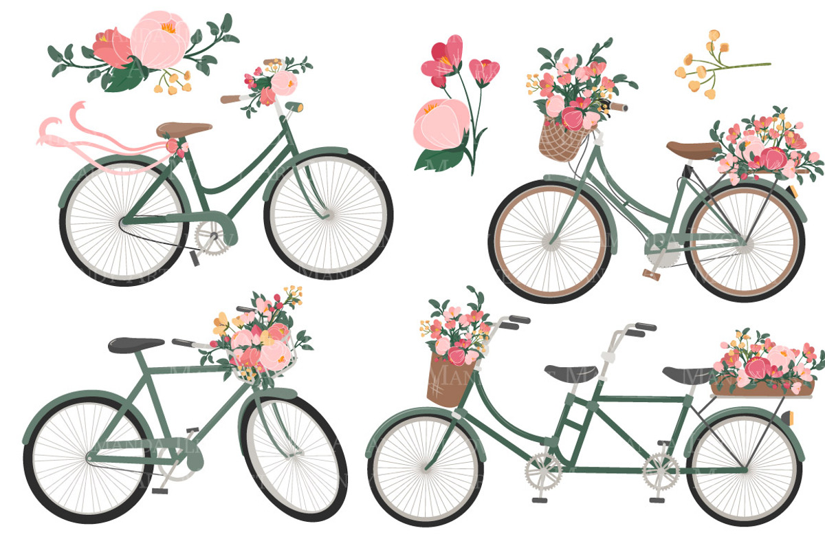 Rose Bicycles Clipart & Vectors, an Illustration by Amanda Ilkov (Photo 5 of 5)