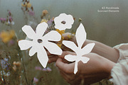Handcut Vellum Letters & Blooms, an Object Graphic by anastasiia.art (Thumbnail 5 of 5)