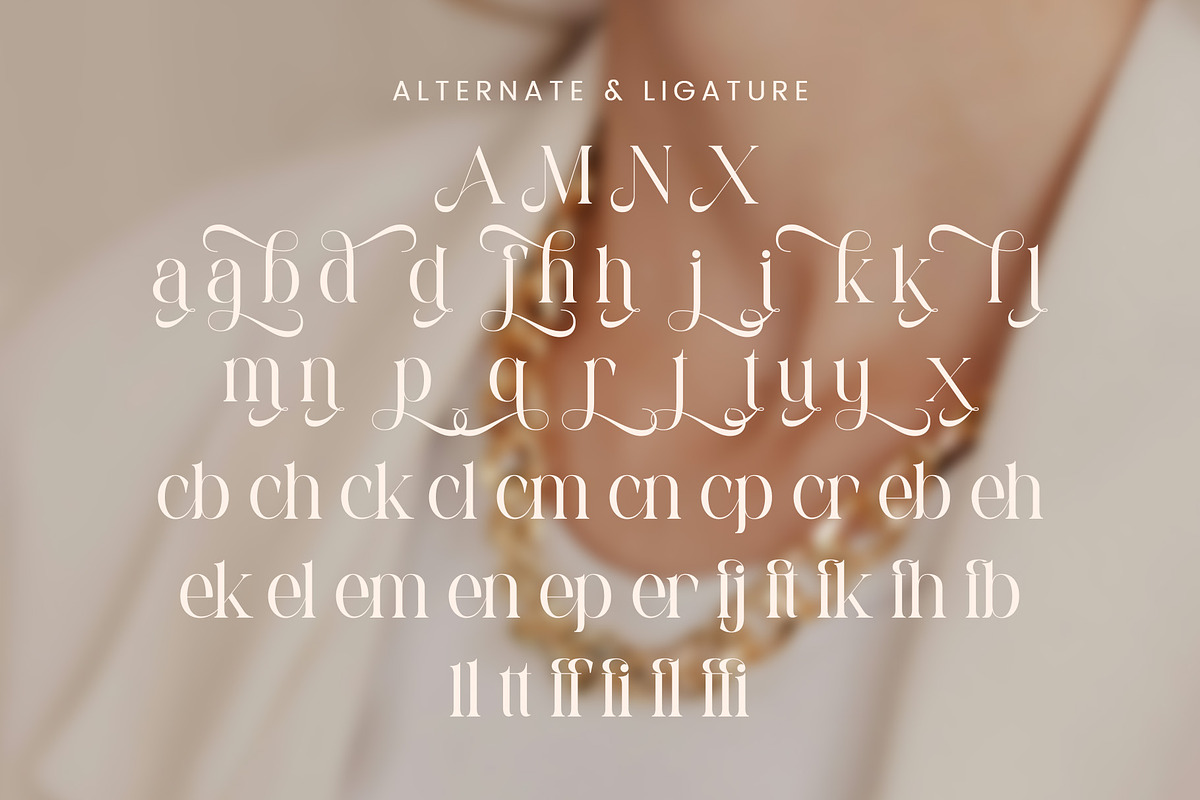 Michola - Beautiful Serif Font, a Serif Font by Aqeel_Art (Photo 12 of 12)