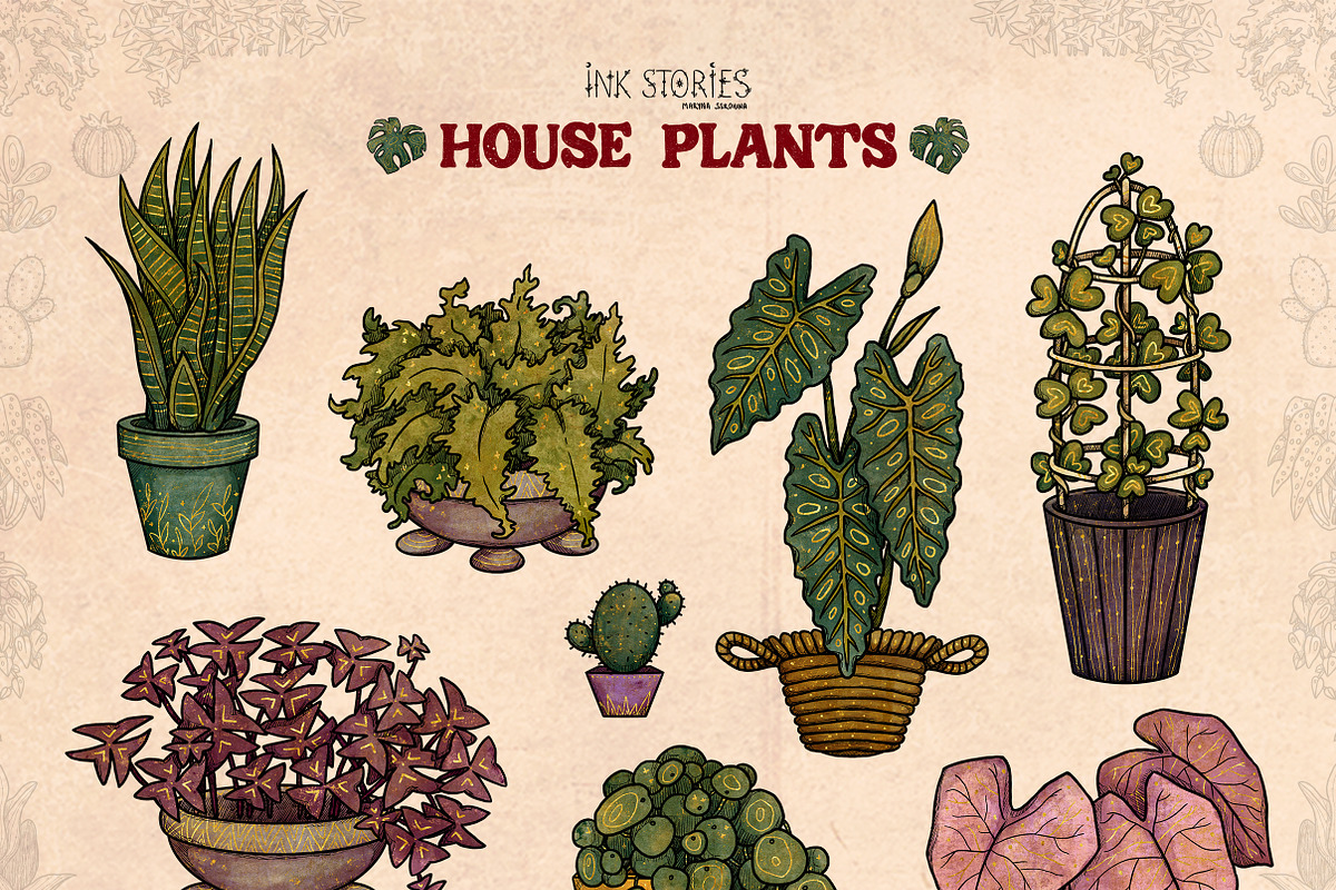 House Plants, an Object Illustration by Ink Stories (Photo 2 of 23)