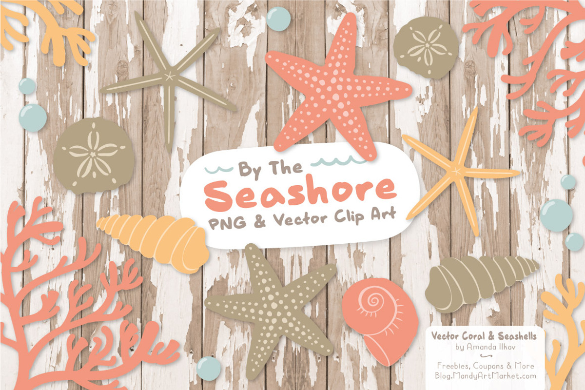Antique Peach Vector Seashells, an Illustration by Amanda Ilkov (Photo 2 of 5)