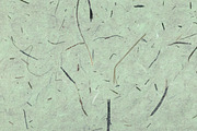 7 Mulberry Paper Textures, a Texture Graphic by Mokr (Thumbnail 2 of 8)