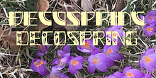 DecoSpring