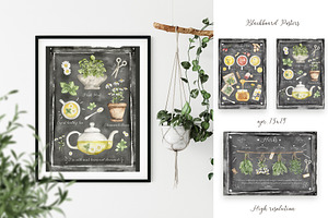 Watercolor Herbs And Spices