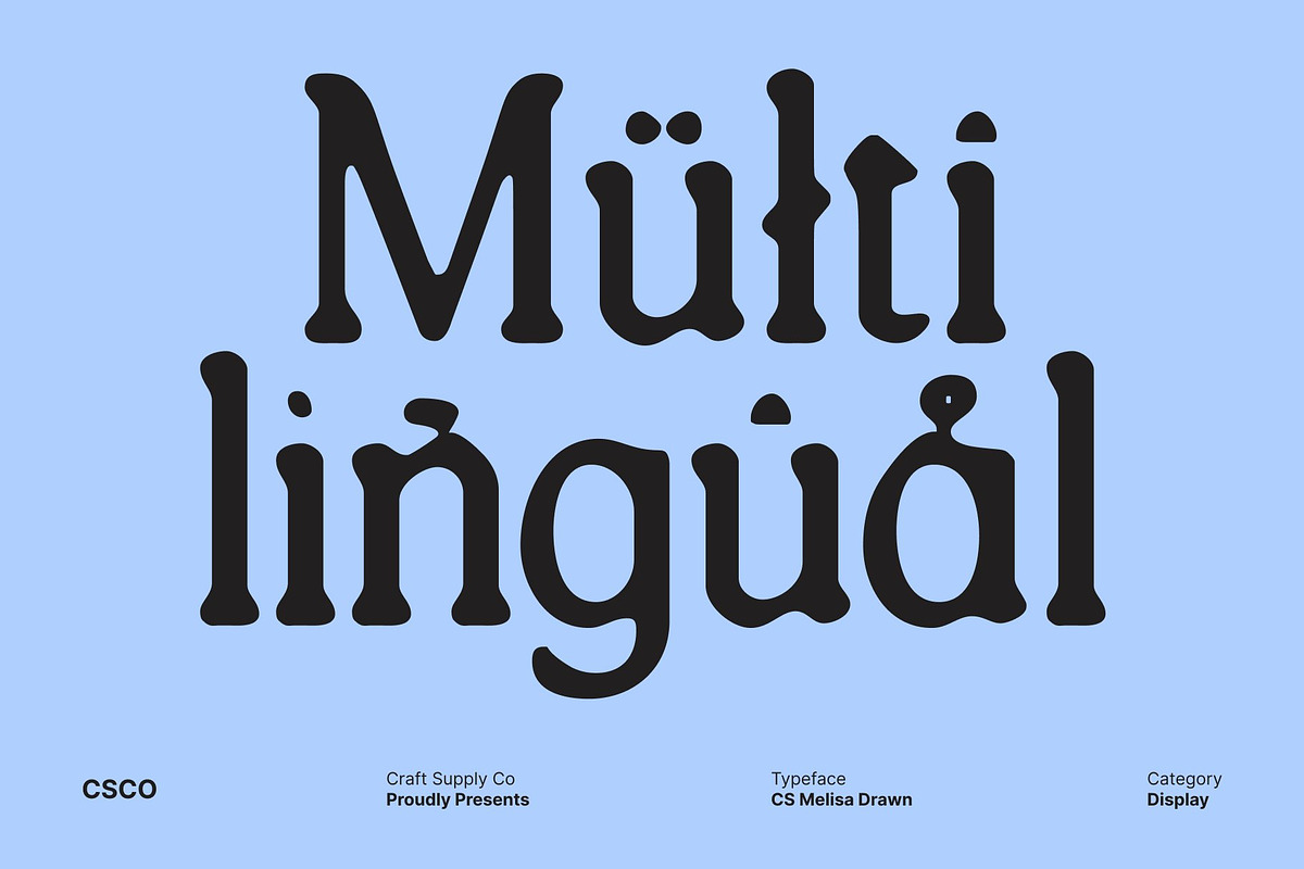 CS Melisa Drawn, a Serif Font by Craft Supply Co. (Photo 6 of 8)