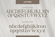 Reyka - Stylish Display Serif, a Serif Font by Hakara Type (Thumbnail 5 of 9)