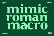GC Milano – Strong Serif Elegance, a Serif Font by Glyphonic (Thumbnail 8 of 15)